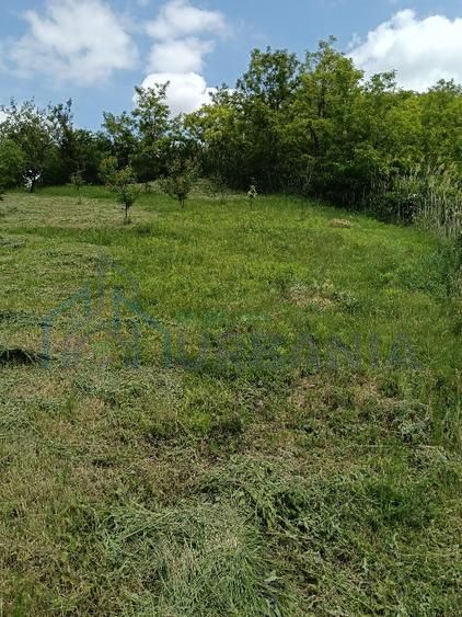 Teren intravilan de vanzare, Vorovesti, comuna Miroslava - Poză 6