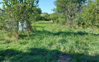 Casa bătrânească, Comuna Horlești ( Voinești ) - Poză 2