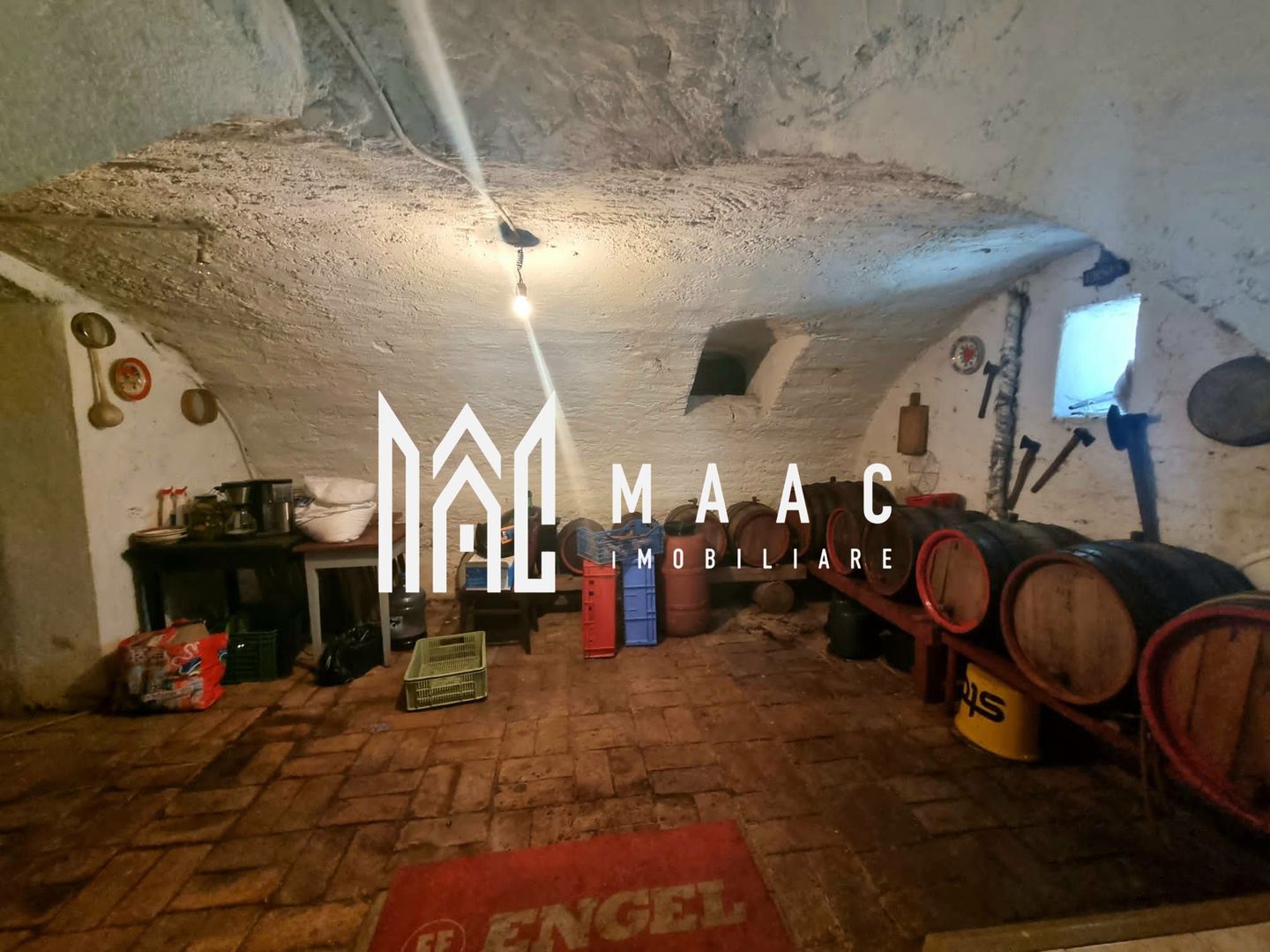 Casa 6 camere I 250MPU | 867MP Teren | Turnisor - Poză 9