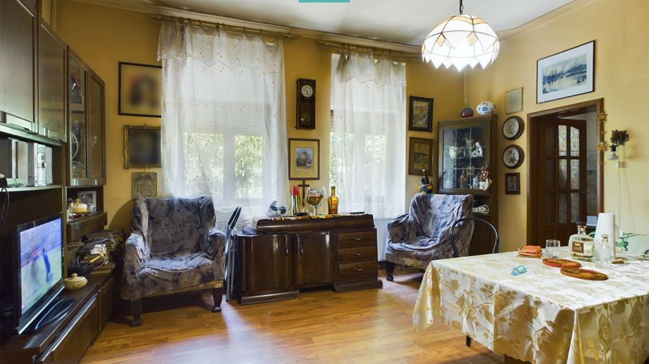 Casă cu livadă de pomi în Dorobanți - Poză 2