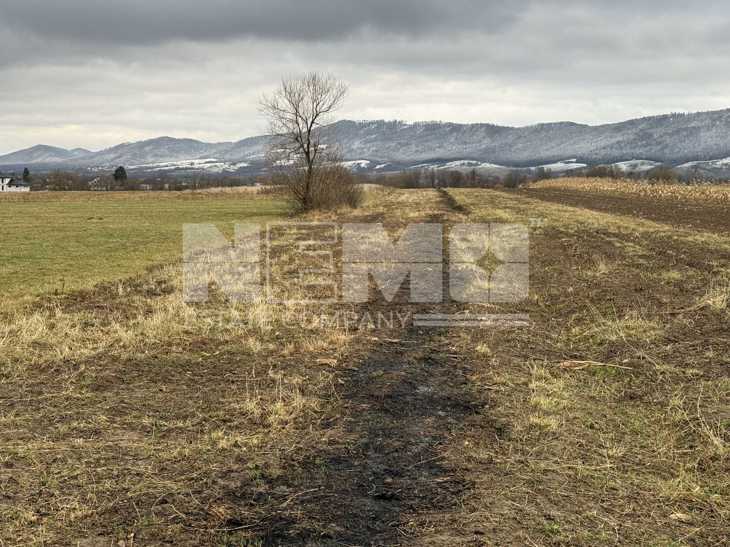 Teren 80 Ari | Vicovu de Sus – Bahna | Front 16.5 - Poză 2