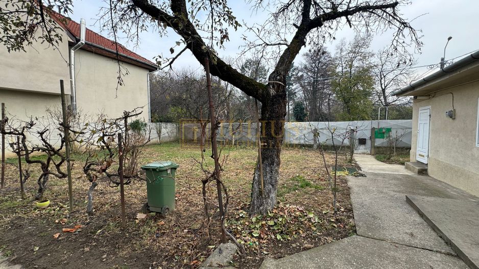 Zona Balcescu-Casa Individuala cu curte proprie - Poză 18