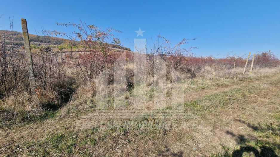 Teren intravilan de vanzare, Cetate - Poză 3