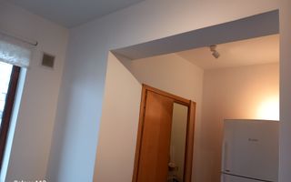 ageuropa.ro vinde ap 2 cam etaj 9/10 Motilor - Poză 6