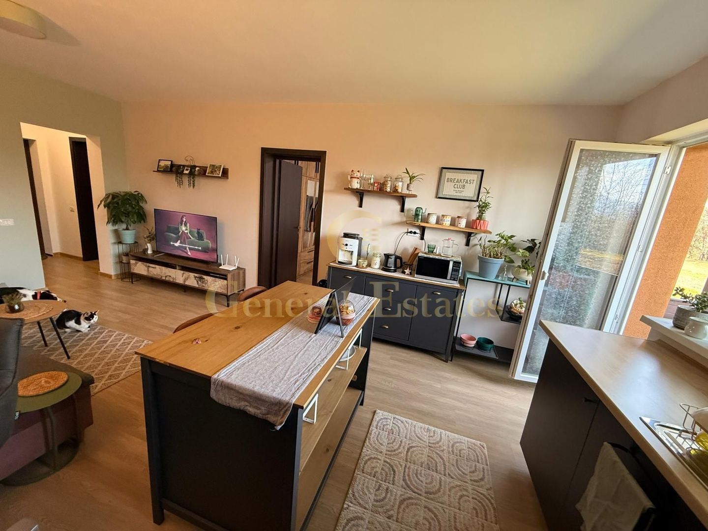 Studio 49 mp | Sanpetru – Cartier Subcetate | Brasov - Poză 4