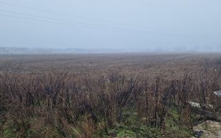 Teren intravilan | Santandrei | Bihor - Poză 1