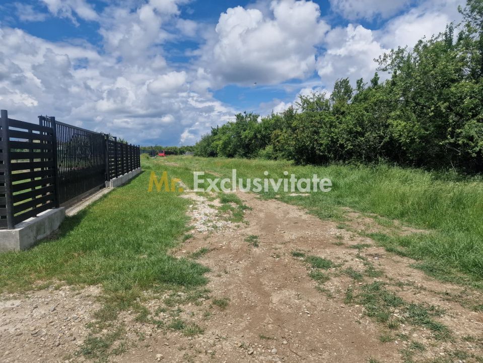0% Comision!!! Teren intravilan Smeura - str Prunilor! - Poză 4