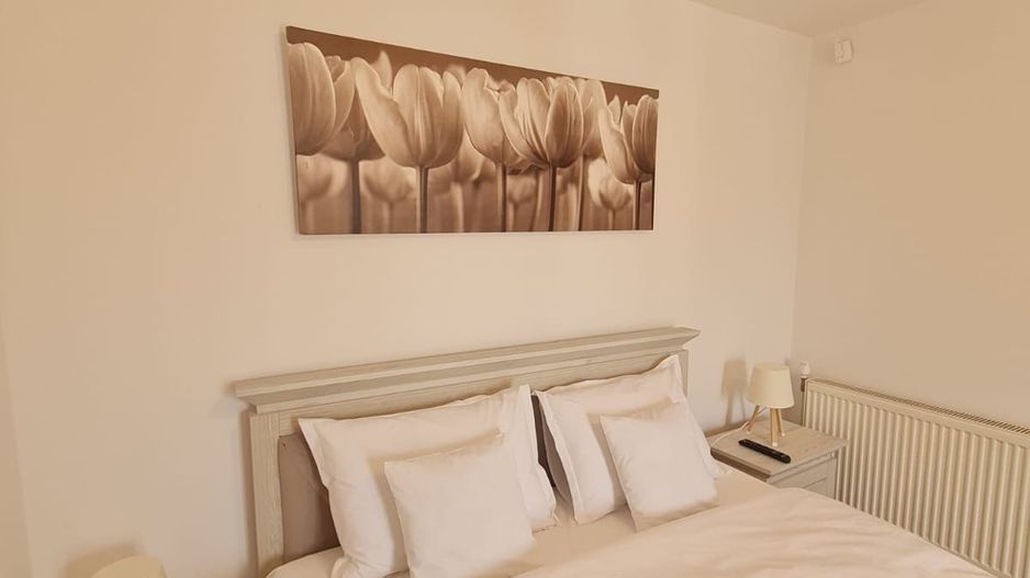 Vila spațioasă și recent renovată în Ghiroda! - Poză 41