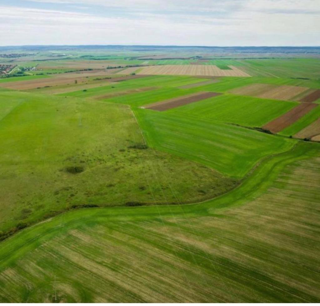 Teren agricol 5ha Giarmata langa Antena Radar - Poză 3