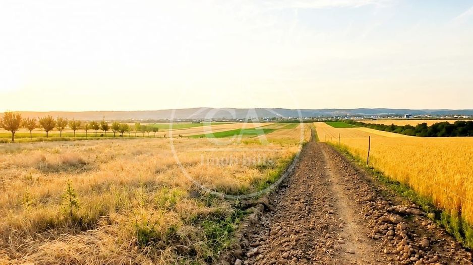 Teren intravilan de vanzare in Alparea, Bihor - Poză 2