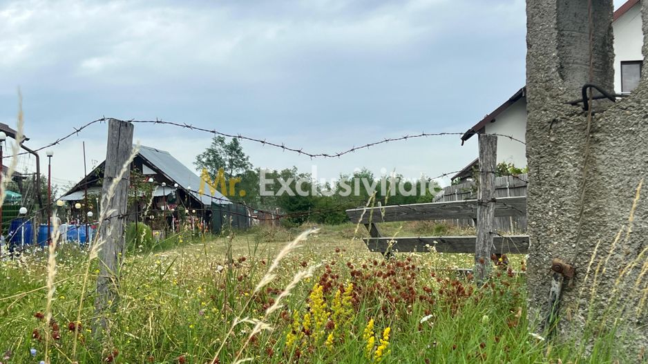 Teren intravilan în Băbana 1575 mp intravilan - Poză 3