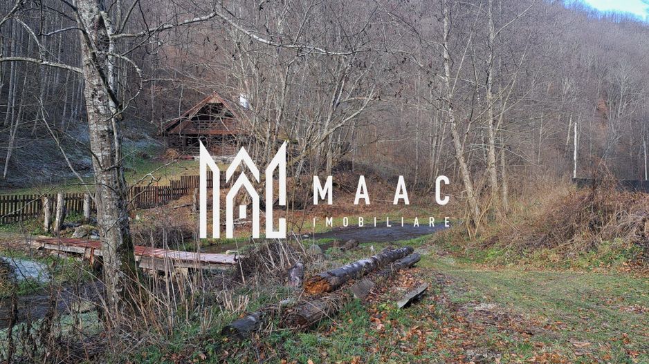 Paradis pe Transalpina in Sugag - Poză 28