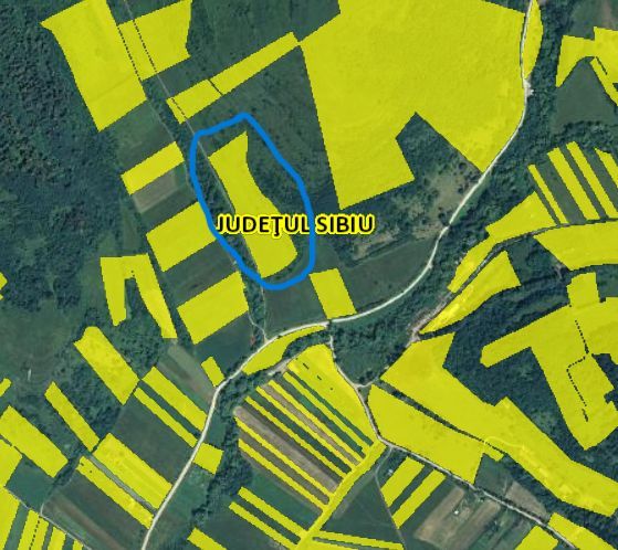 Teren extravilan arabil - Sibiu - Gusterland - Poză 5