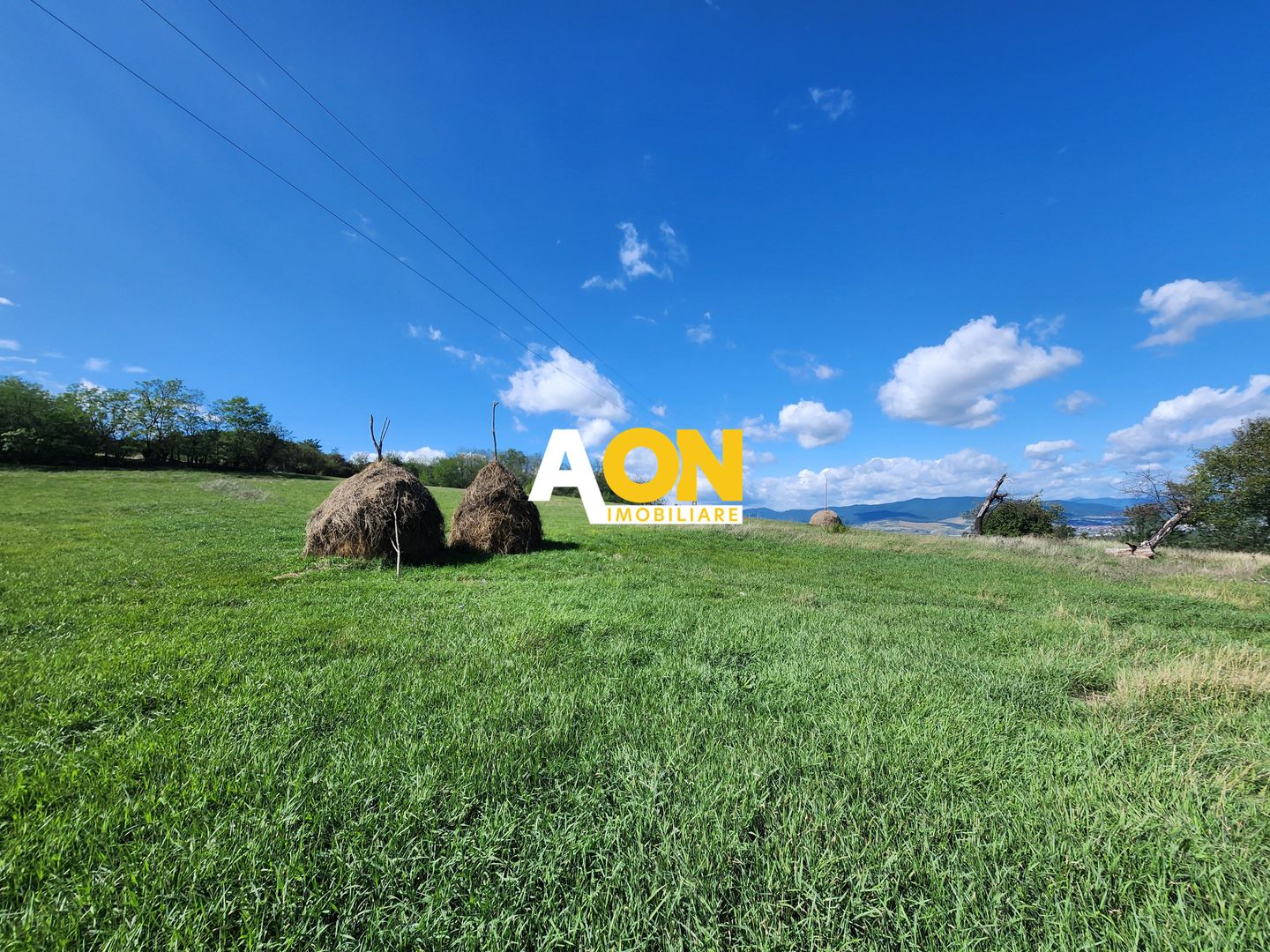 De vanzare 2965 mp teren intravilan, toate utilitatile, Oarda de Sus - Poză 5