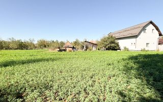 Casa individuala 2 camere + anexe, 70mp , teren 1000mp , Jucu de Sus - Poză 14