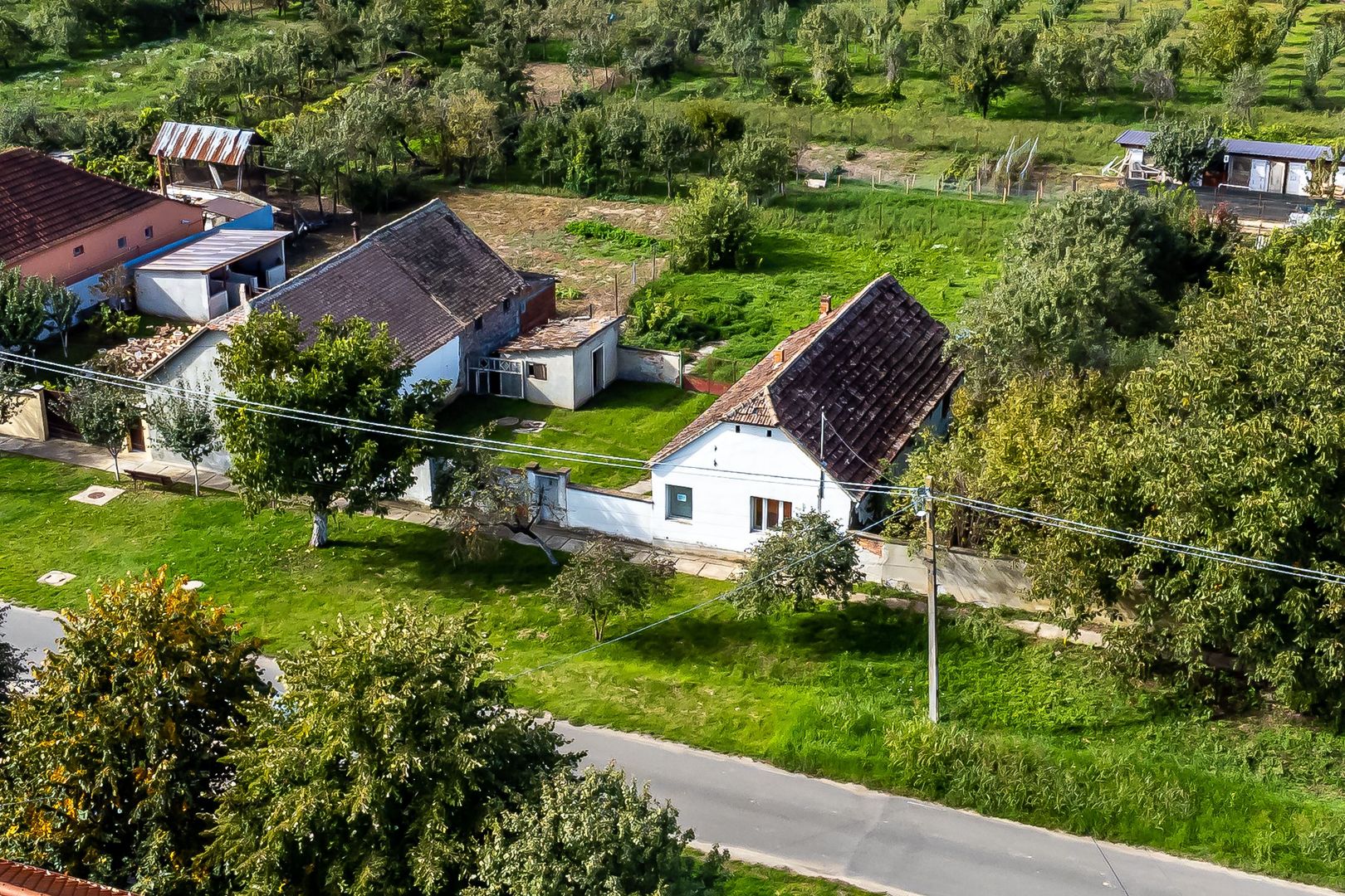 Casă cu grădină în Sântana - Poză 4