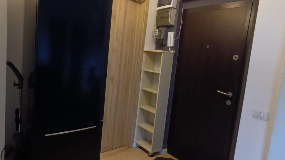 3 camere| ION MIHALACHE - Poză 12