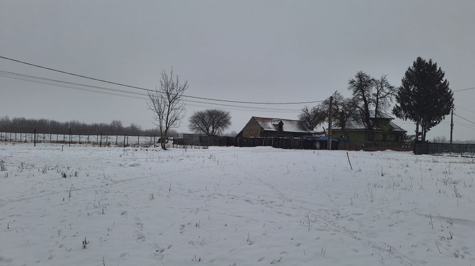 Teren 1000mp intravilan la liziera padurii, acces din drum asfaltat. - Poză 8