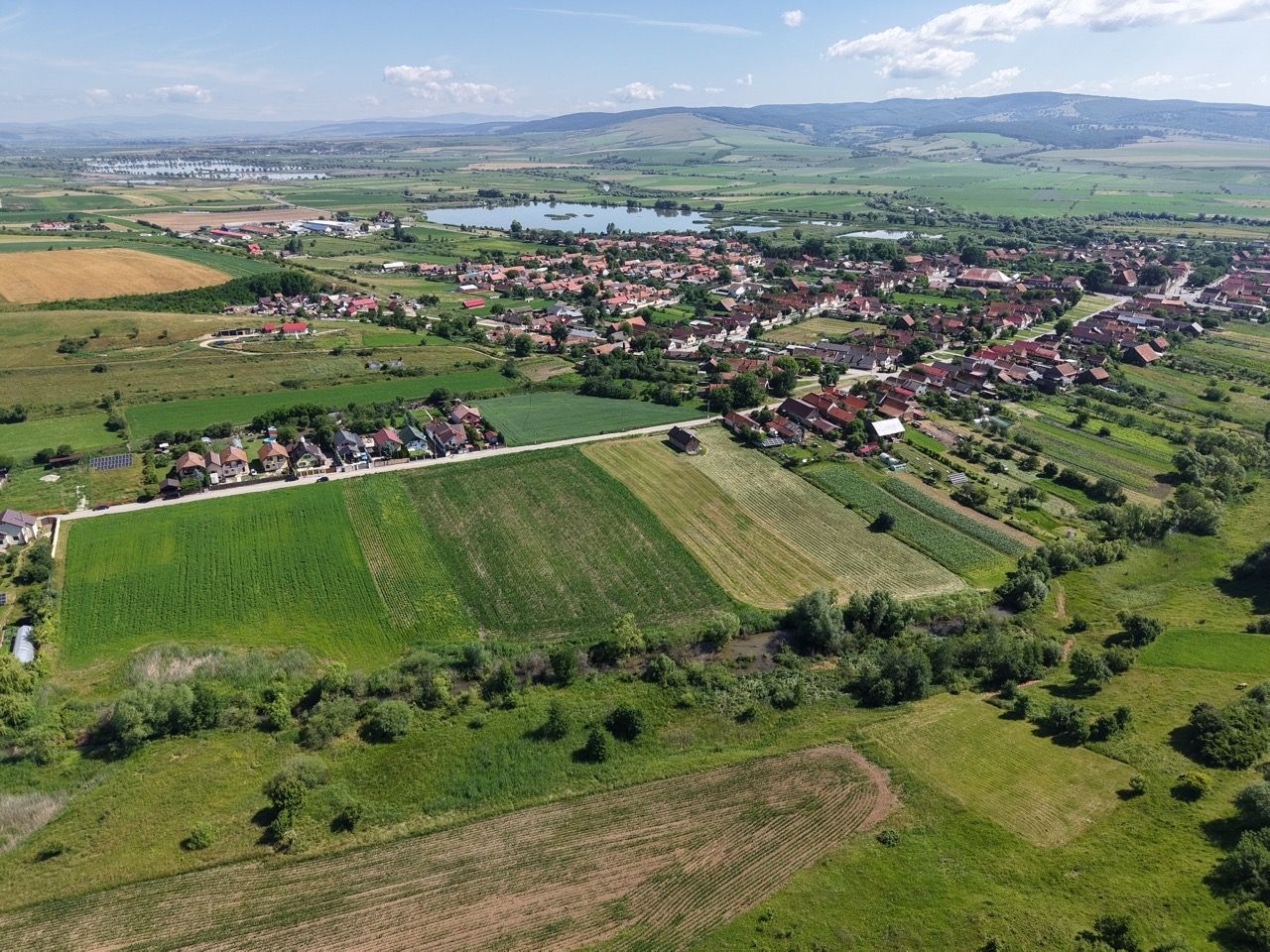 Teren intravilan 10.000 mp, Rotbav (Feldioara) - Poză 8