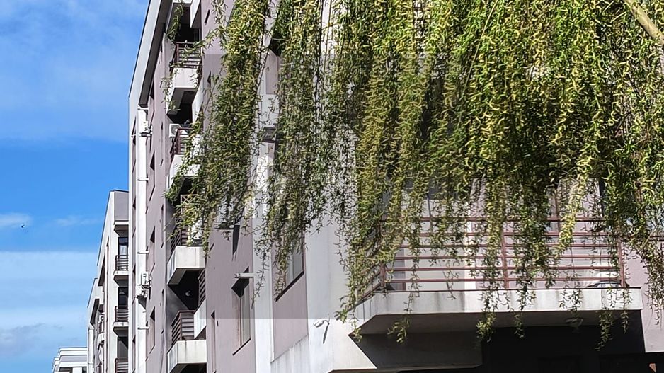 Apartament 2 camere Game Residence-Popesti Leordeni - Poză 12