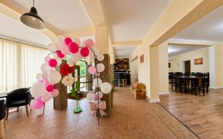 Afacere funcțională - Sală de Evenimente–Motel – Loc. Valea lui Mihai - Poză 3