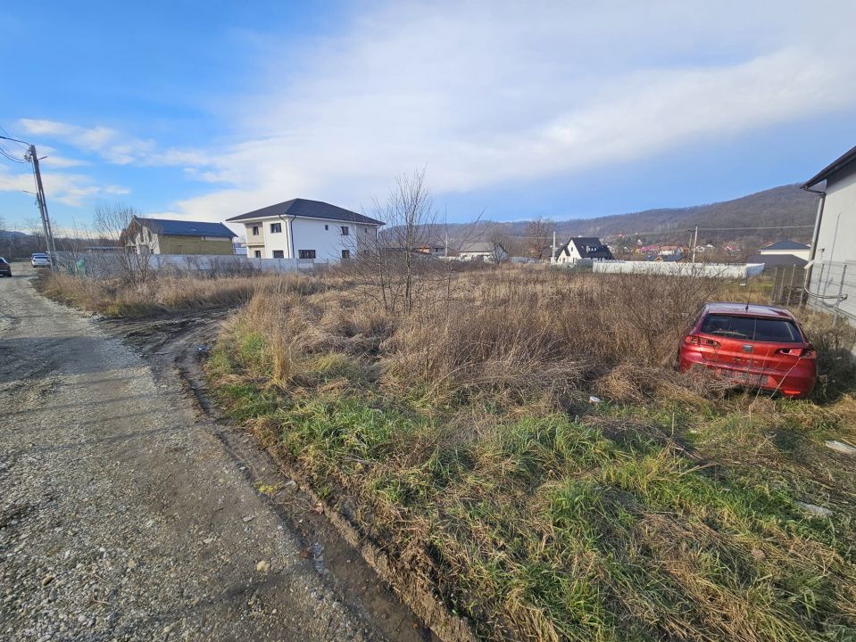 Teren 1.250 mp, toate utilitatile – Bascov, Valea Ursului, AG - Poză 5