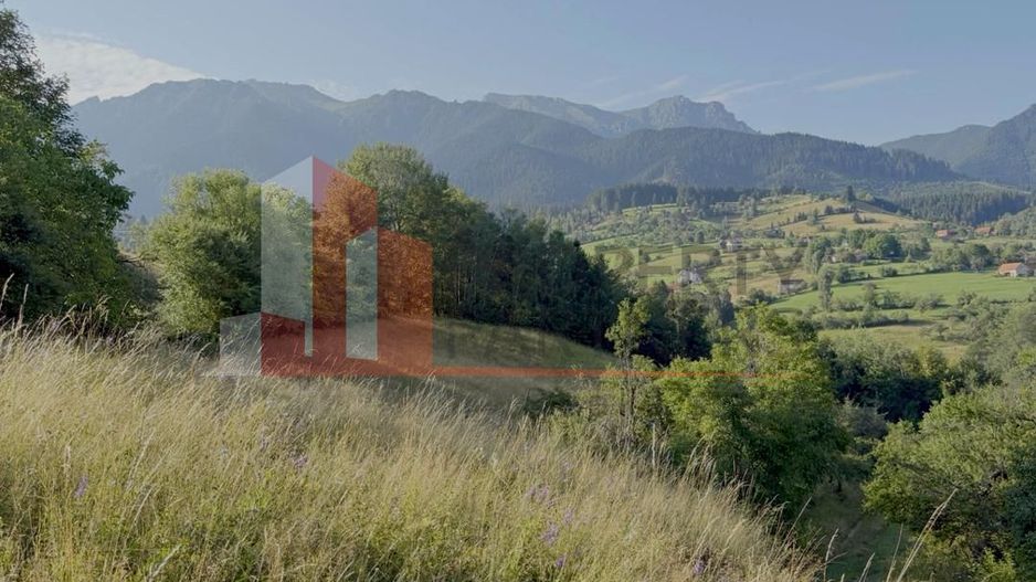 Teren Sohodol 10.398 mp  cu vedere panoramica - Poză 5