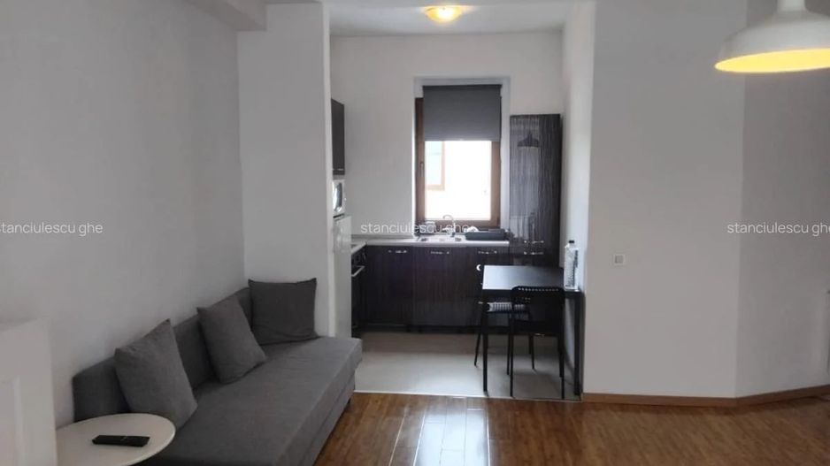 Garsonieră spațioasă de închiriat | Herăstrău - Poză 1