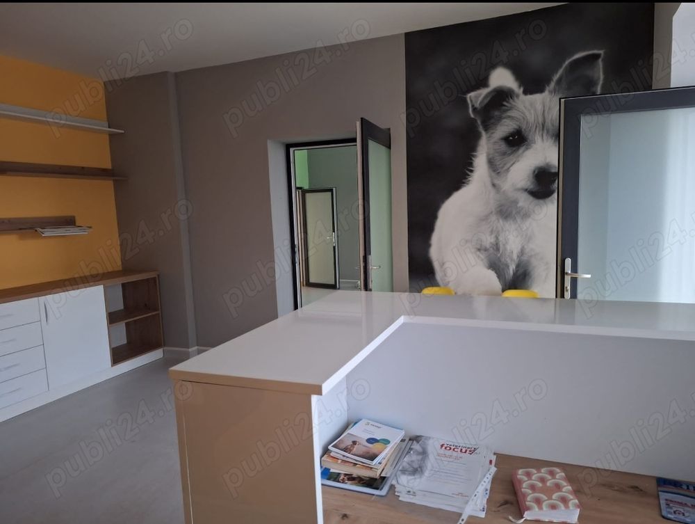 BRASADAS vinde casa 4 cam Sararie - Copou. - Poză 3