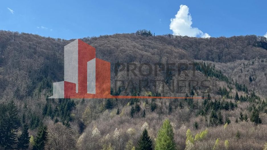 Terenuri Bran - Predelut  Priveliște către Bucegi și Postăvaru - Poză 12