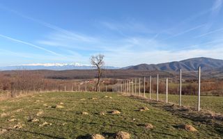 Teren intravilan 809 mp de vânzare – Tropinii Noi-Sibiu - Poză 4