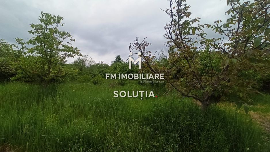 Teren 63 ari, Victoriei zona STO - Poză 3
