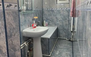 De inchiriat apartament cu 2 camere, etaj 1, Siderurgistilor, 450 E - Poză 6