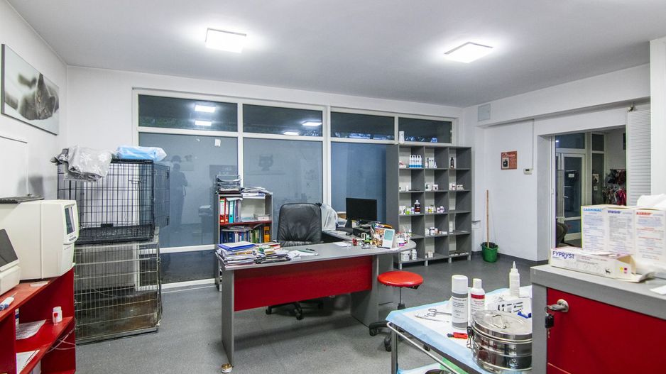 Sos. Giurgiului - P-ta Progresul, spatiu birou, cabinet, showroom, etc - Poză 2