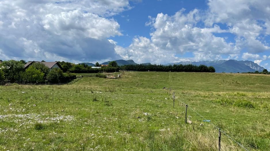 INVESTIȚIE | Teren 5000 mp PUZ APROBAT intravilan - zona Sohodol -Bran - Poză 10