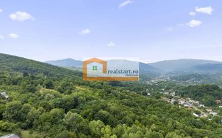 Vedere directa la Padure, 5000mp teren, Vila D+P+1E+M, semineu, foisor - Poză 43