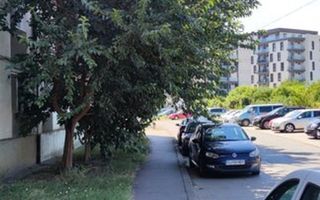 Aproape de Judetean, aproape de zona facultatilor. - Poză 3