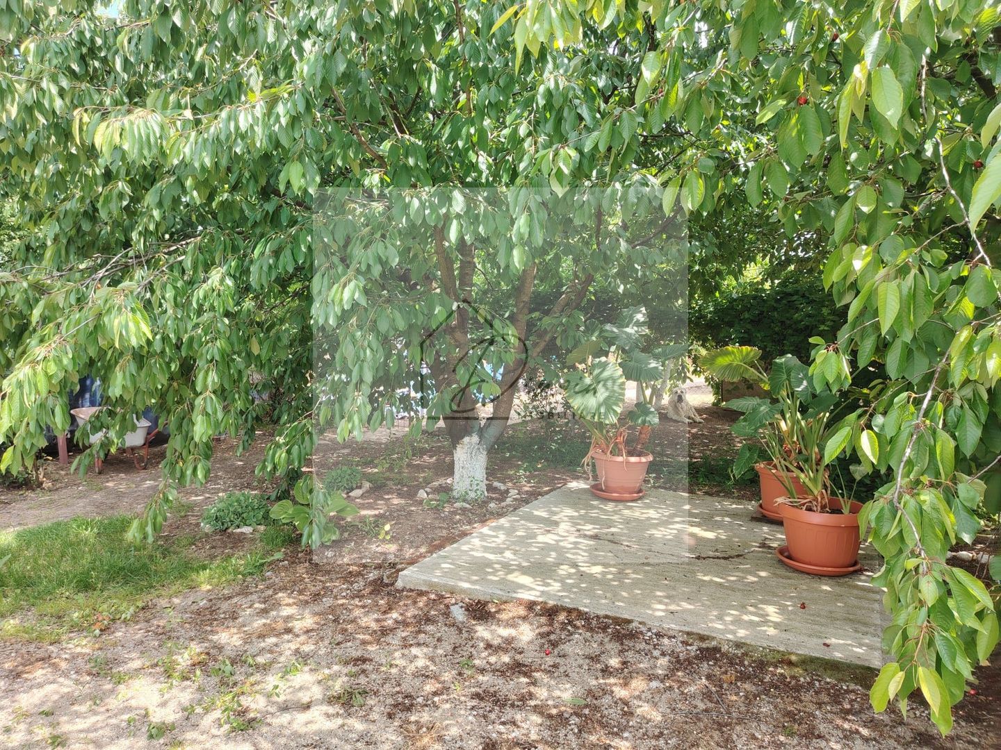 Casa Ciocanesti Cretu - 2 camere cu teren 2539 mp  - Jud. Dambovita - Poză 43