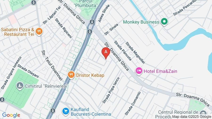 Apartament 3 camere, parter la vila, centrală proprie, Doamna Ghica - Poză 13