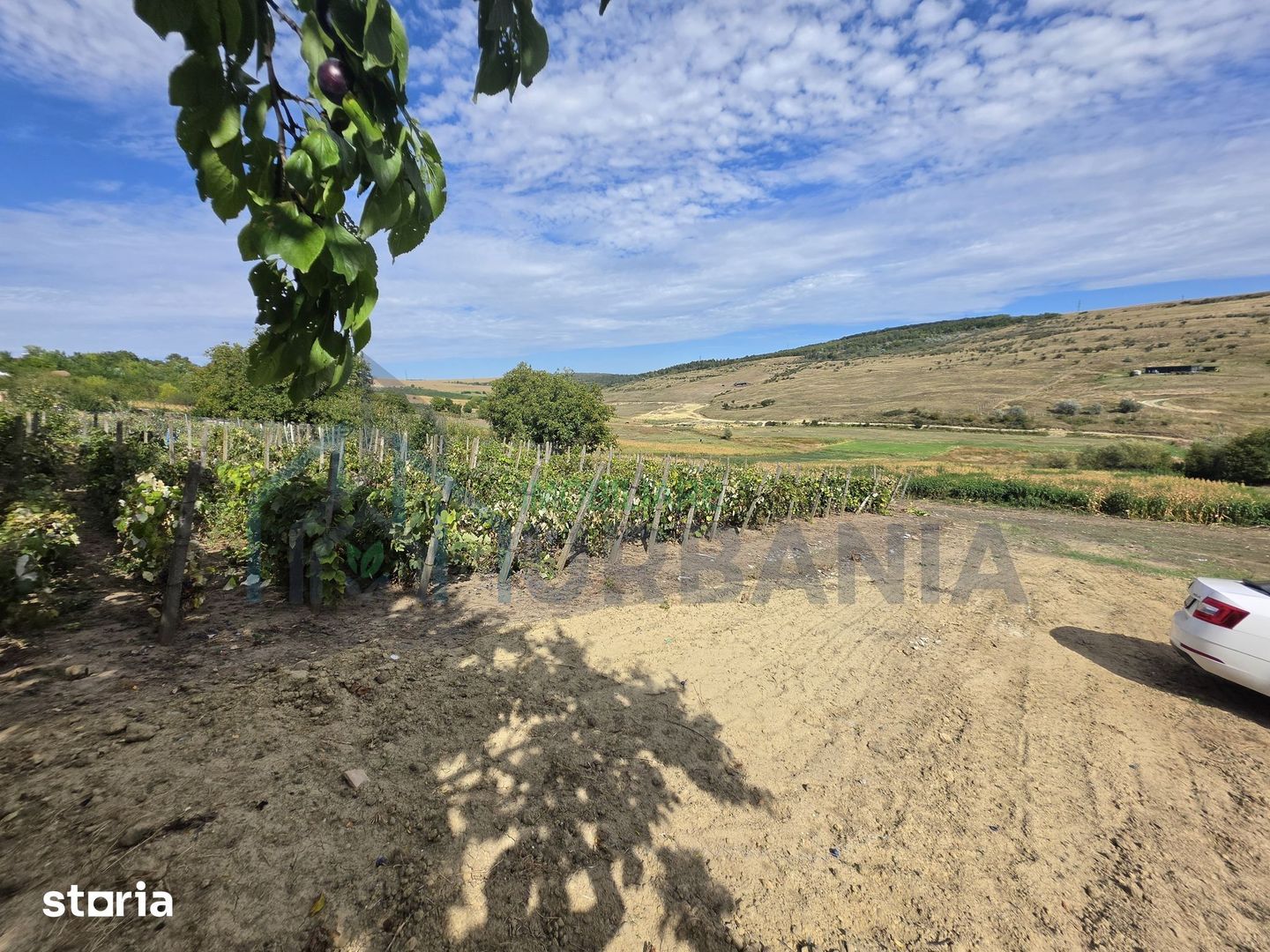 Teren extravilan parcelabil de 9.300 mp în Dorobanți/Aroneanu, aproape de Baza Nautică - Poză 8