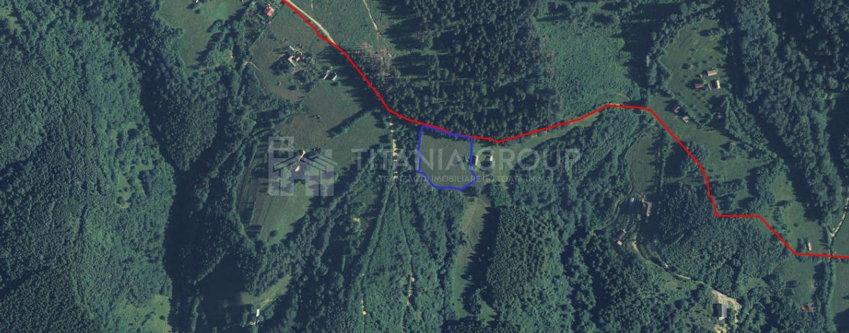 Platou montan, 6631 mp intravilan, electricitate,  langa pădure - Poză 7