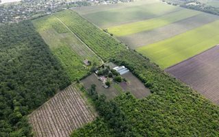 Vânzare, teren, 1.74 ha, satul Bilicenii Noi, raionul Sîngerei - Poză 6