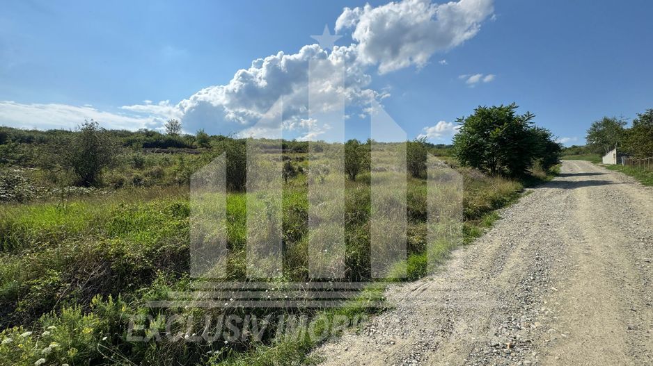 Teren intravilan, Schit - Poză 1