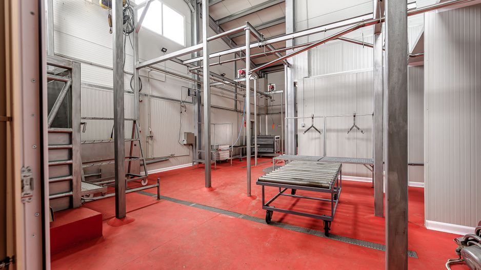 Unitate de abatorizare și procesare carne DN7  -  Nădlac - Poză 12