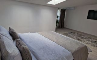 Vila P + 2 - 5 camere de vanzare - Poză 7