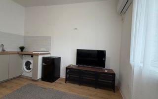 Studio Cozy Parc Gradina Icoanei - Poză 3