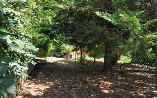 Vila 6 camere-teren 1800mp-Snagov Izvorani-lac - Poză 14