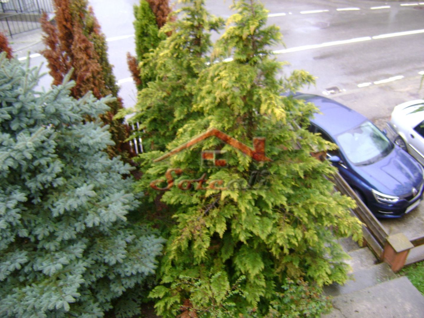 Casa P+M - Cornu de Sus - Poză 10