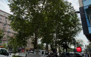 spatiu birouri 228 mp | Universitate | Nicolae Balcescu - Poză 18