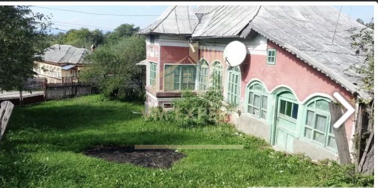 CASA 3 CAMERE, TEREN 7500 MP, VALEA MARE PRAVAT, ARGES - Poză 4